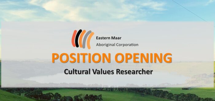 Position Opening - Cultural Value Researcher