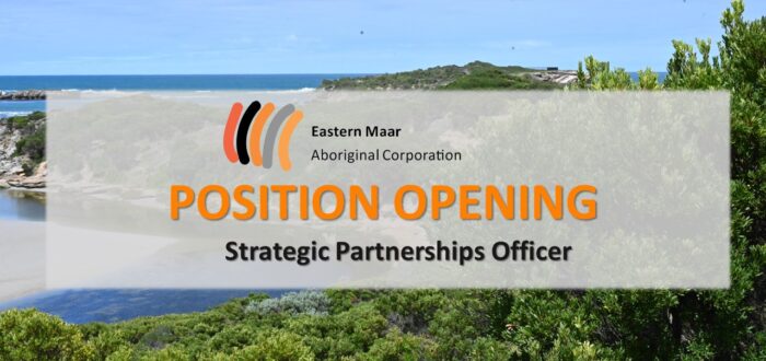 Position Opening - Strategic Partnerships Officer