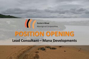 Mana Developments Lead Consultant