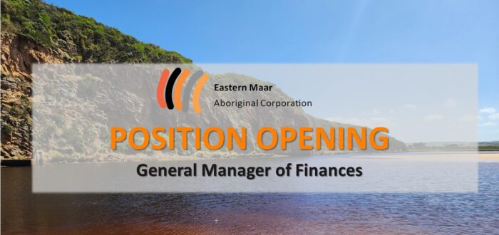 Position Opening - General Manager of Finances