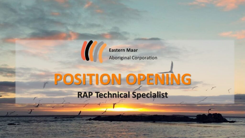 RAP Technical Specialist