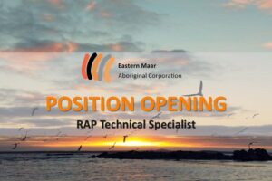 RAP Technical Specialist