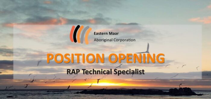 RAP Technical Specialist